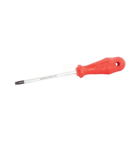 İzeltaş Delikli Torx Uçlu Tornavida 4X100 Tr25